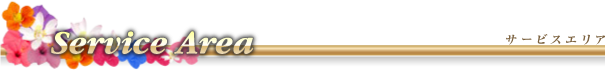 Service Area